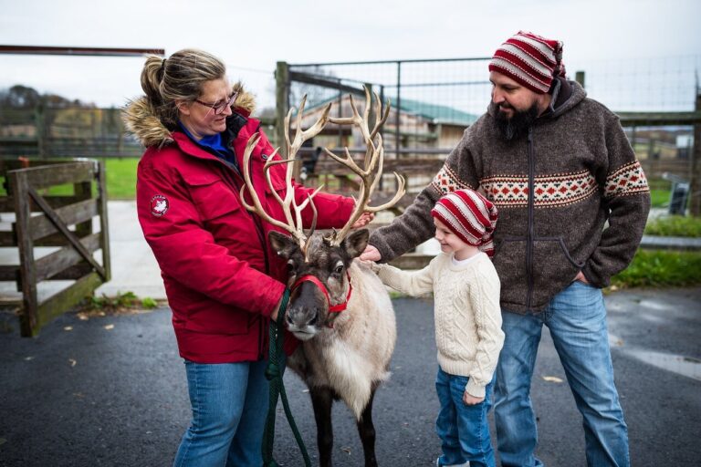 spruceridgereindeer_tour-reindeer-farm-visit-family Spruceridgereindeer Tour Reindeer Farm Visit Family