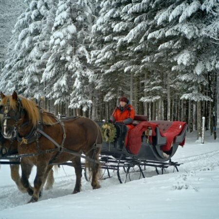Sterlingmountainfarm Tour Sleigh Ride Horses Snowy Forest