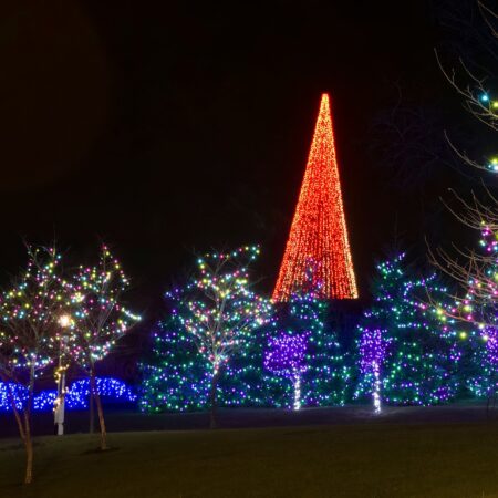 Stonegablesestate Tour Colorful Christmas Lights Tree