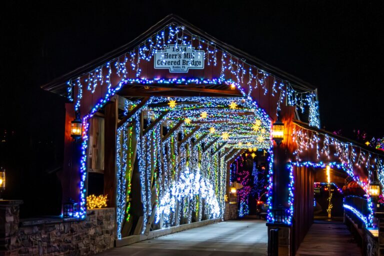 Stonegablesestate Tour Covered Bridge Christmas Lights Night