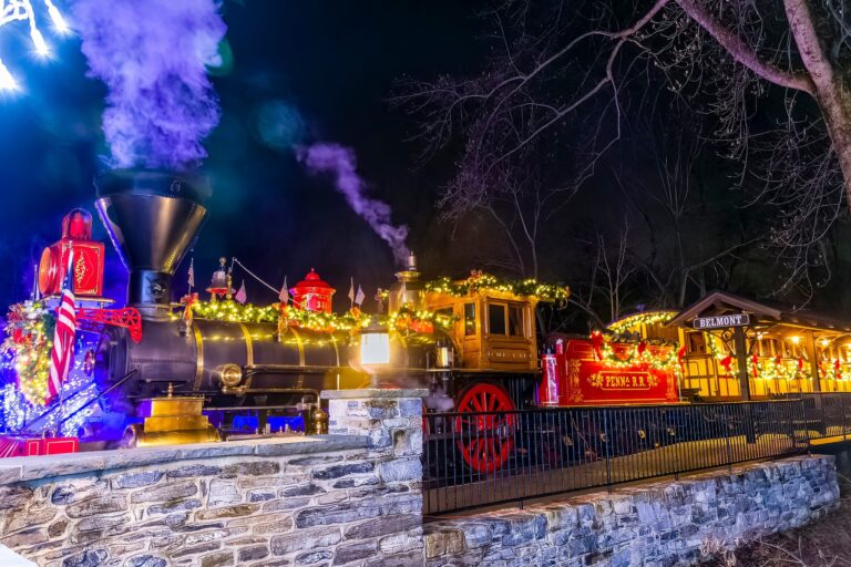 Stonegablesestate Tour Decorated Steam Locomotive Night