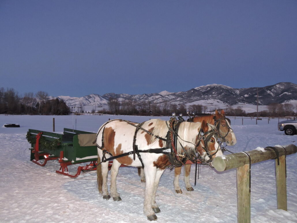 Sunrisepackstation Tour Horses Sleigh Snowy Mountains
