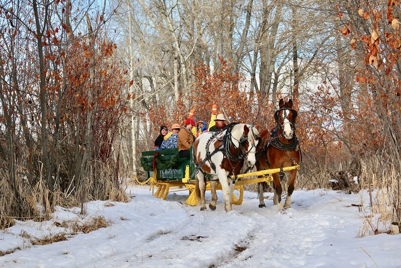 Sunrisepackstation Tour Sleigh Ride Horses Snowy Path