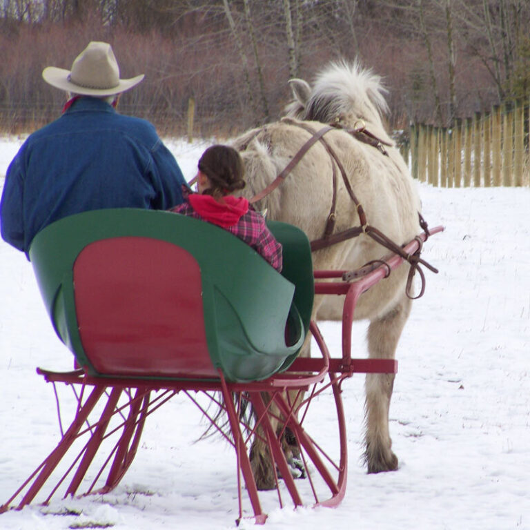 Sunrisepackstation Tour Sleigh Ride Snow Horse