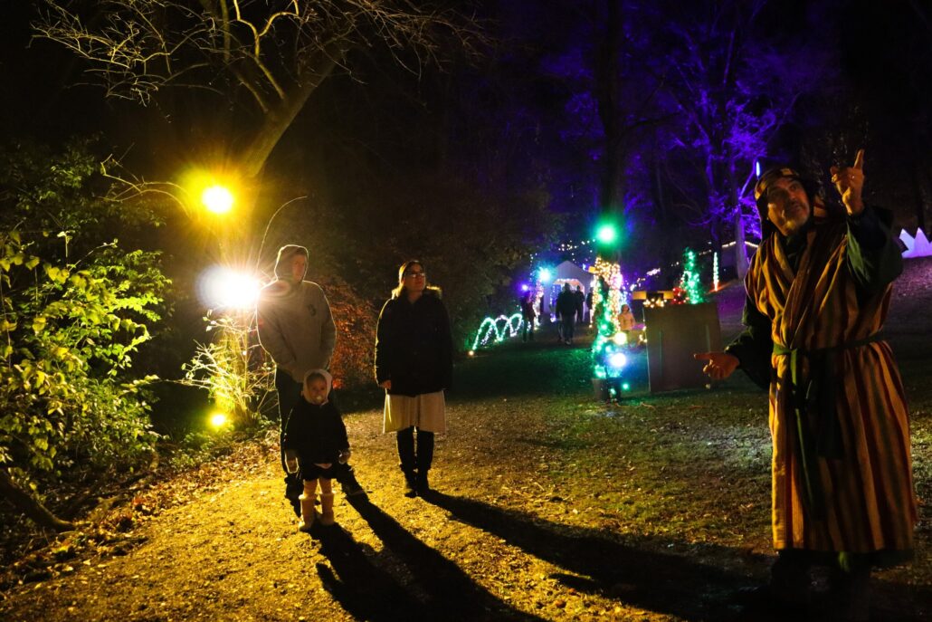 Terrehilldays Tour Family Night Walk Festival Lights