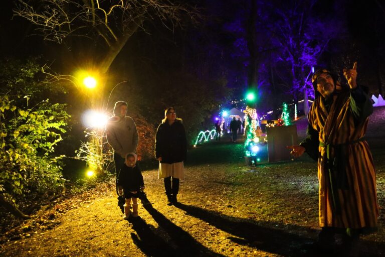 Terrehilldays Tour Family Night Walk Festival Lights