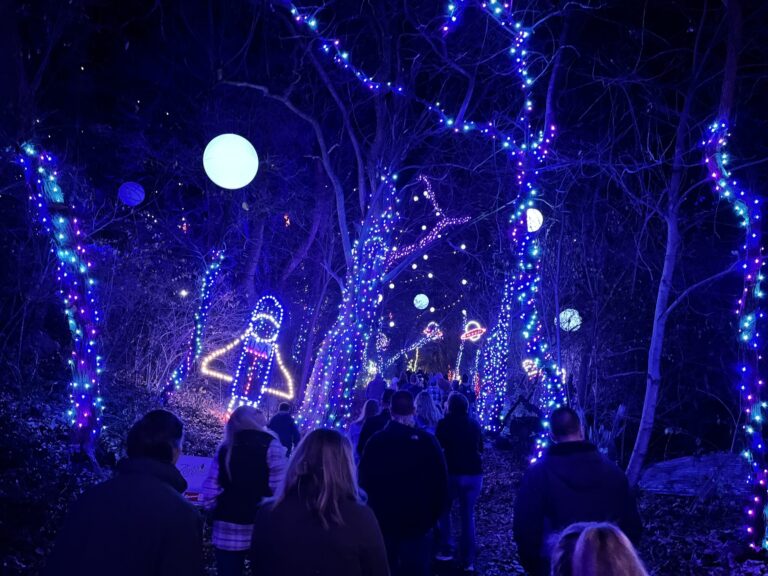 Terrehilldays Tour Illuminated Pathway Trees Lights