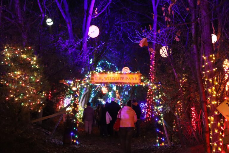 Terrehilldays Tour Wildlife Park Holiday Lights Path