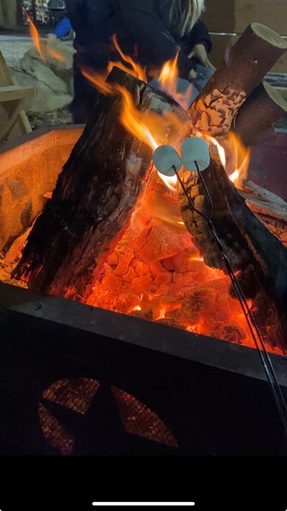 thefarm_tour-campfire-marshmallows-flames-logs Thefarm Tour Campfire Marshmallows Flames Logs