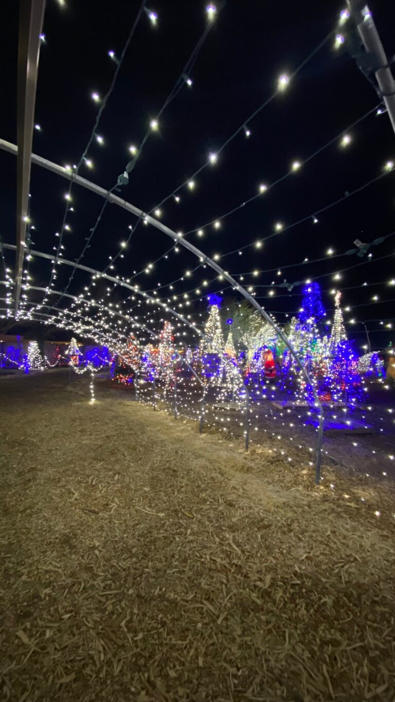 thefarm_tour-farm-lights-night-decoration Thefarm Tour Farm Lights Night Decoration