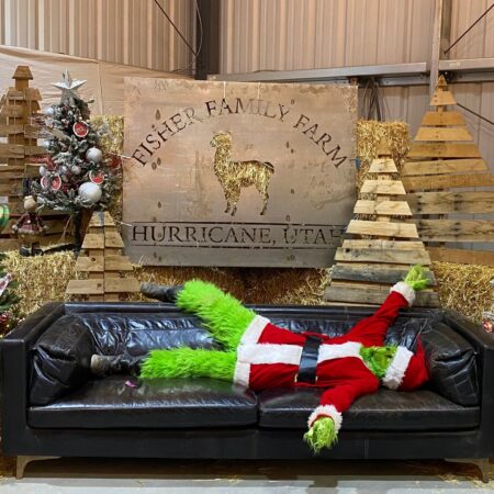 Thefarm Tour Grinch Christmas Trees Farm Holiday