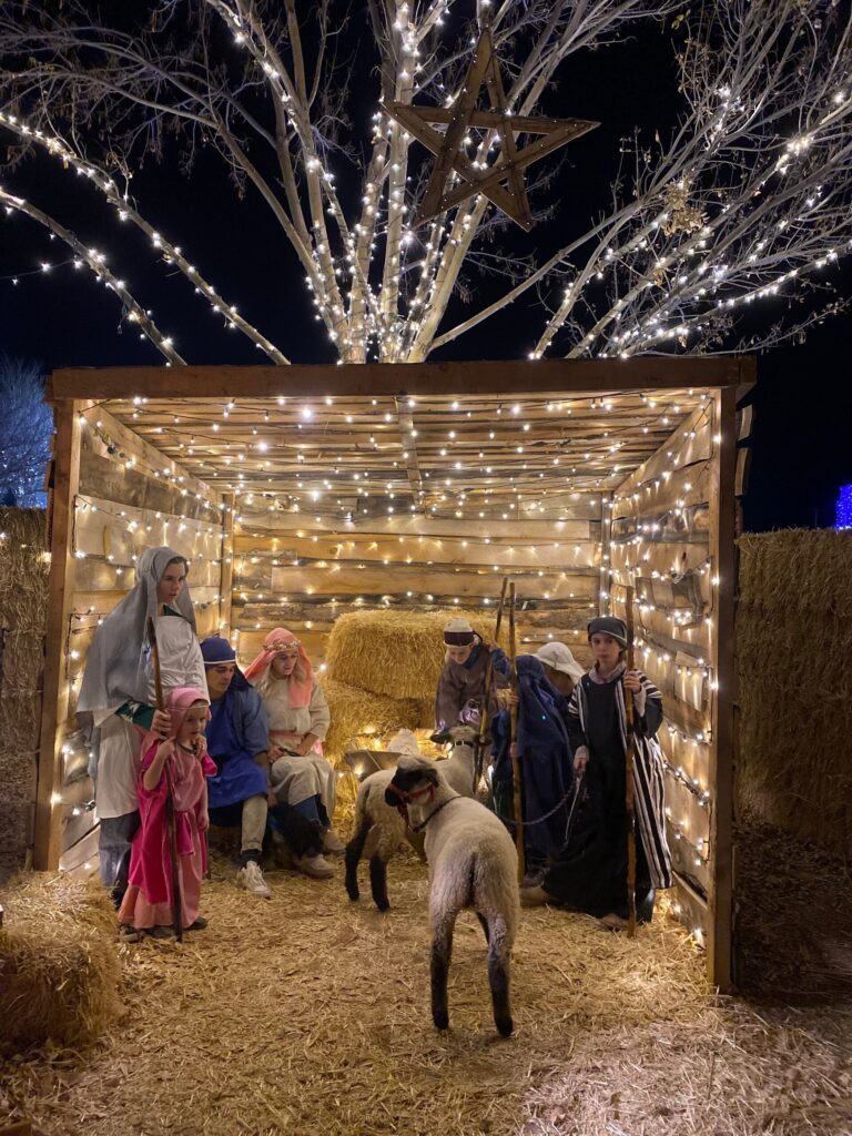 thefarm_tour-nativity-scene-lights-sheep-people Thefarm Tour Nativity Scene Lights Sheep People