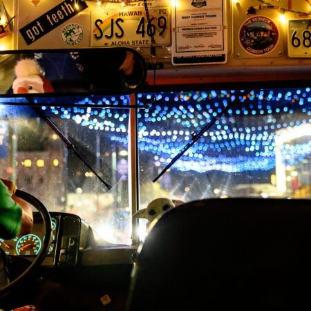 Theredneckbus Tour Bus Driver Night Lights