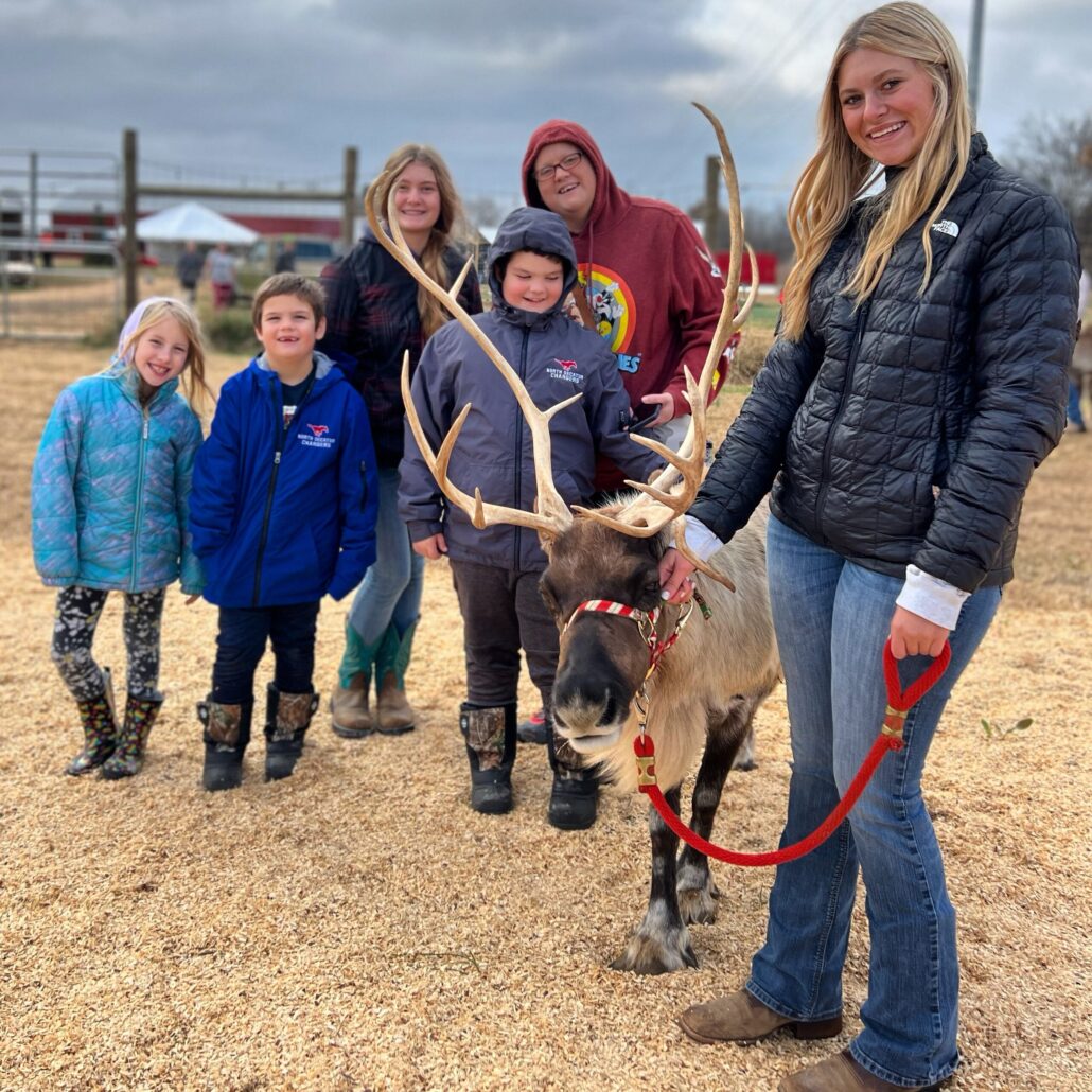 thereindeerfarm_tour-children-reindeer-farm-visit Thereindeerfarm Tour Children Reindeer Farm Visit