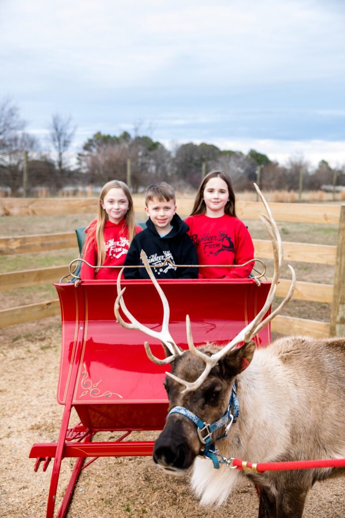 thereindeerfarm_tour-children-sleigh-reindeer-farm Thereindeerfarm Tour Children Sleigh Reindeer Farm