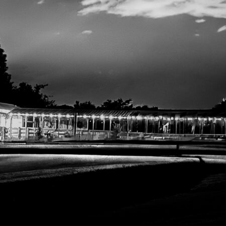 Thereindeerfarm Tour Nighttime Structure Lights Trees