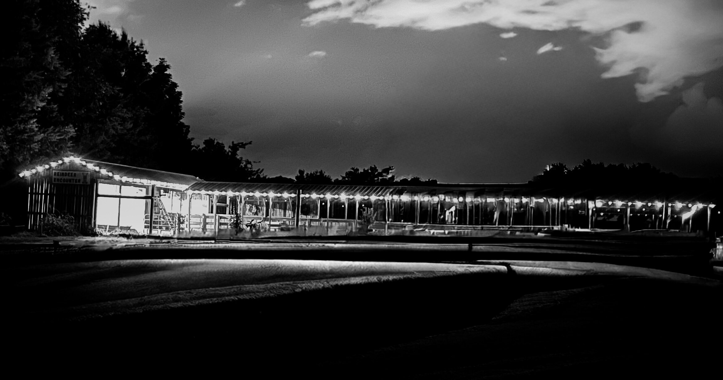 thereindeerfarm_tour-nighttime-structure-lights-trees Thereindeerfarm Tour Nighttime Structure Lights Trees