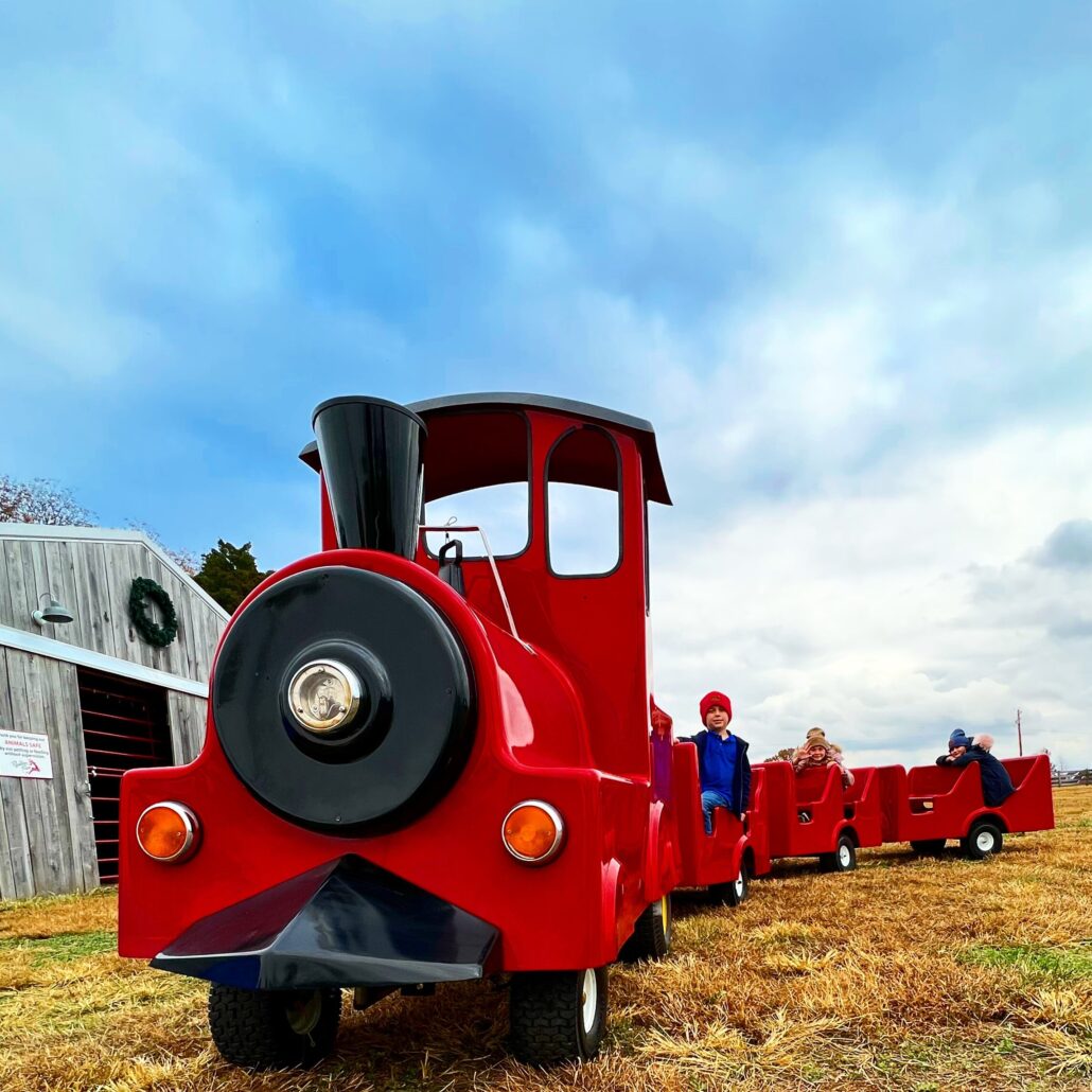 thereindeerfarm_tour-red-train-kids-farm Thereindeerfarm Tour Red Train Kids Farm