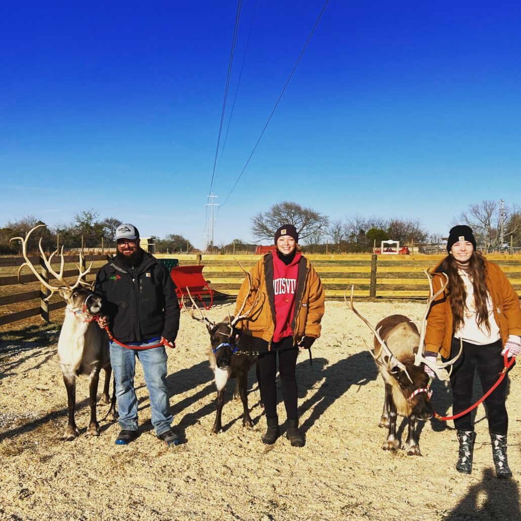 thereindeerfarm_tour-reindeer-farm-people-winter Thereindeerfarm Tour Reindeer Farm People Winter