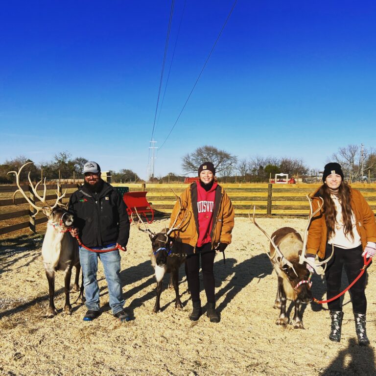 thereindeerfarm_tour-reindeer-farm-people-winter Thereindeerfarm Tour Reindeer Farm People Winter