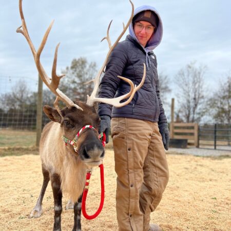 Thereindeerfarm Tour Reindeer Handler Farm Visit