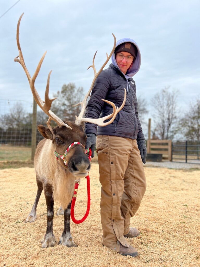 thereindeerfarm_tour-reindeer-handler-farm-visit Thereindeerfarm Tour Reindeer Handler Farm Visit