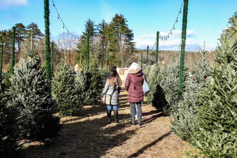 Thestourbridgeline Tour Tree Farm Women Walking Path