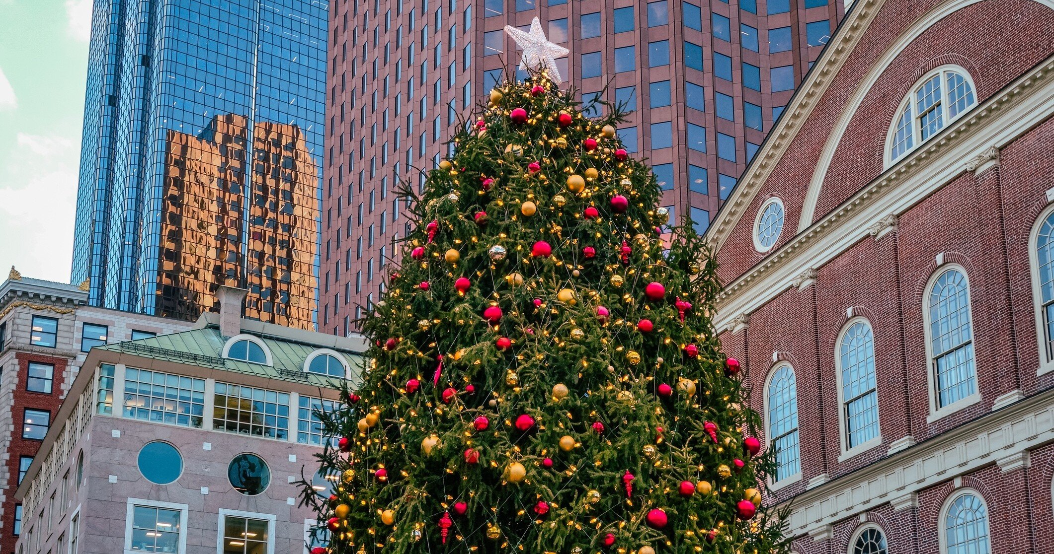 Undergrounddonutour Tour Christmas Tree City Buildings
