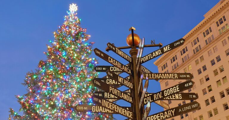 undergrounddonutour_tour-colorful-christmas-tree-direction-signs Undergrounddonutour Tour Colorful Christmas Tree Direction Signs