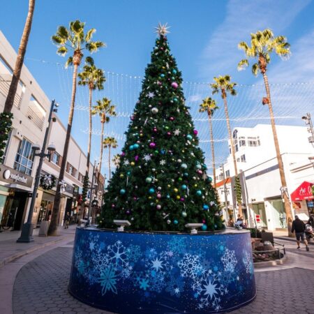 Undergrounddonutour Tour Holiday Tree Palm Trees Shopping