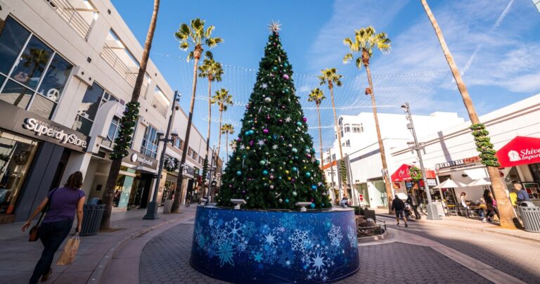 undergrounddonutour_tour-holiday-tree-palm-trees-shopping Undergrounddonutour Tour Holiday Tree Palm Trees Shopping