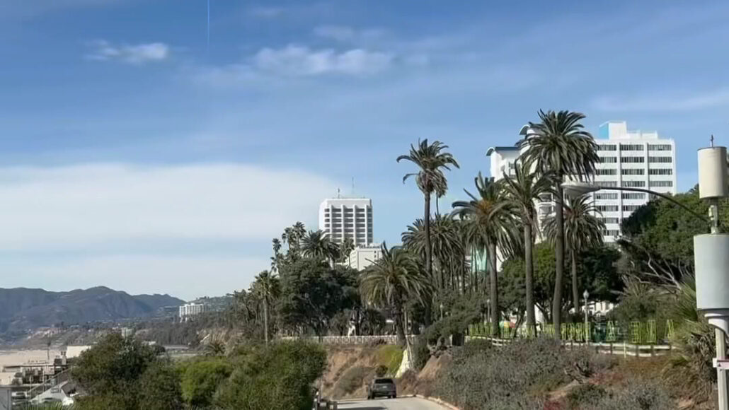 undergrounddonutour_tour-palm-trees-coastal-road-buildings Undergrounddonutour Tour Palm Trees Coastal Road Buildings