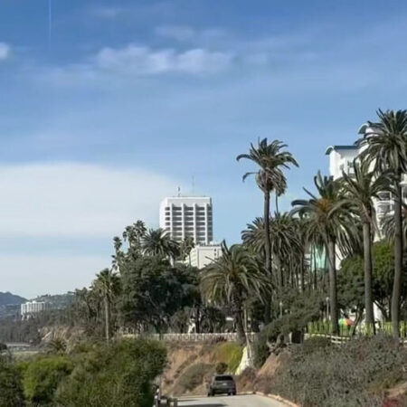 Undergrounddonutour Tour Palm Trees Coastal Road Buildings