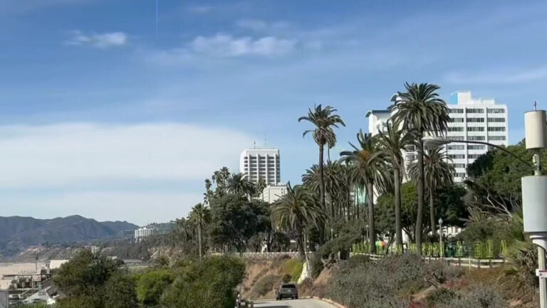 undergrounddonutour_tour-palm-trees-coastal-road-buildings-2 Undergrounddonutour Tour Palm Trees Coastal Road Buildings