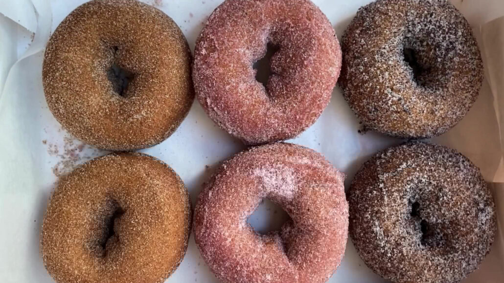 undergrounddonutour_tour-sugar-coated-donuts-baked Undergrounddonutour Tour Sugar Coated Donuts Baked