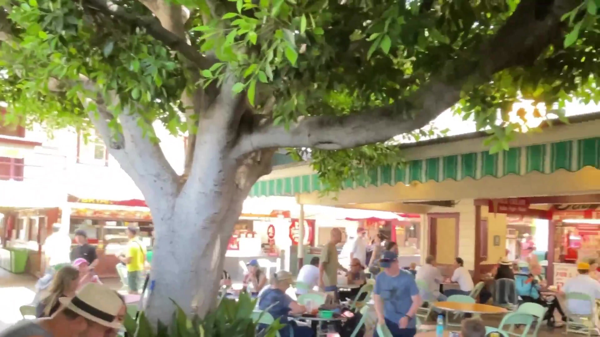 undergrounddonutour_tour-tree-patio-diners-people Undergrounddonutour Tour Tree Patio Diners People