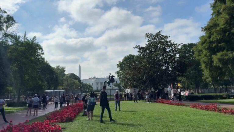 undergrounddonutour_tour-white-house-park-flowers-people Undergrounddonutour Tour White House Park Flowers People