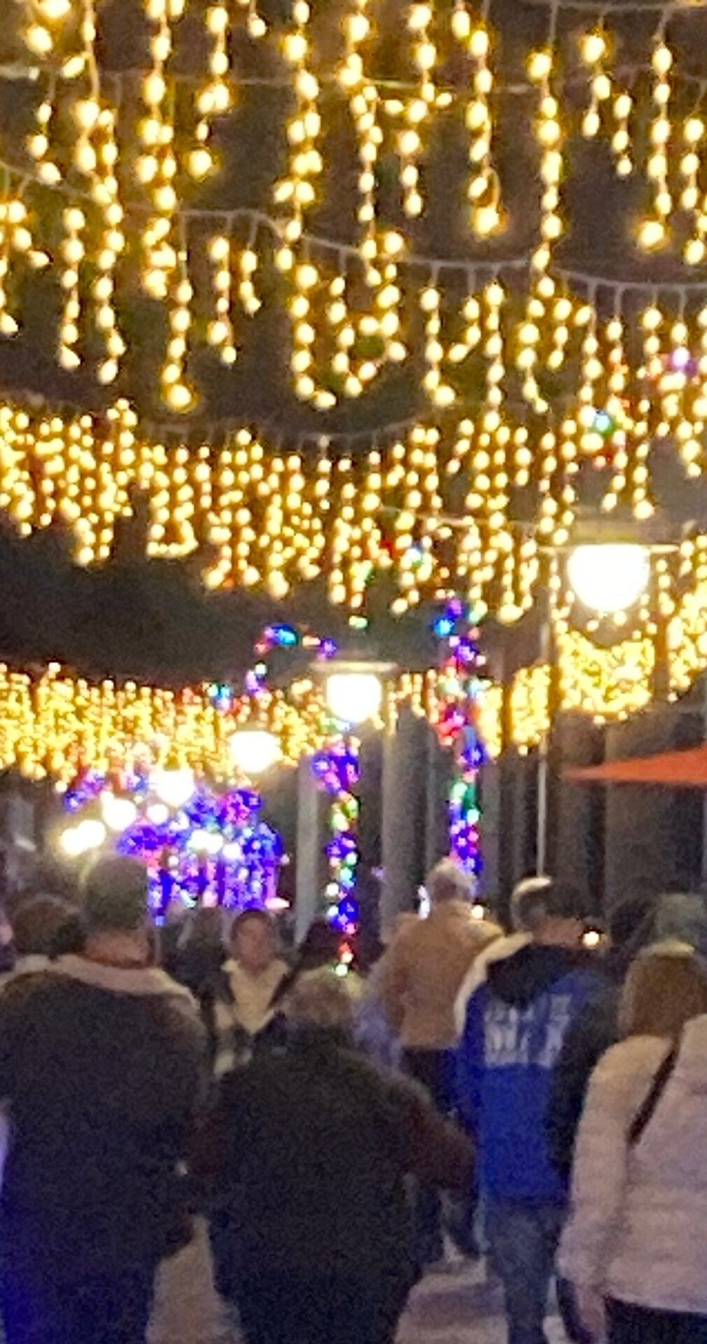 wilmingtonwatertours_tour-holiday-lights-crowd-night Wilmingtonwatertours Tour Holiday Lights Crowd Night