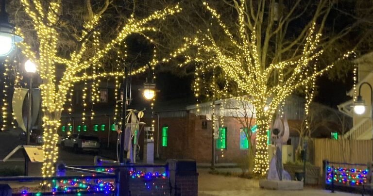 wilmingtonwatertours_tour-twinkling-lights-night-sculpture Wilmingtonwatertours Tour Twinkling Lights Night Sculpture