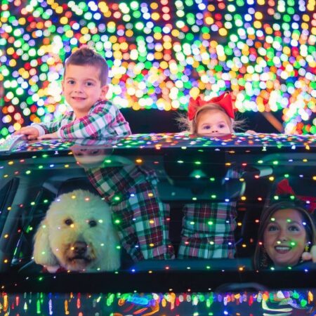 Wintermagickc Tour Children Dog Car Holiday Lights