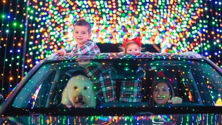 Wintermagickc Tour Children Dog Car Holiday Lights