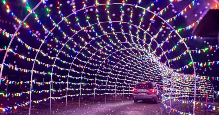 Winterwonderlightsnj Tour Colorful Light Tunnel Car