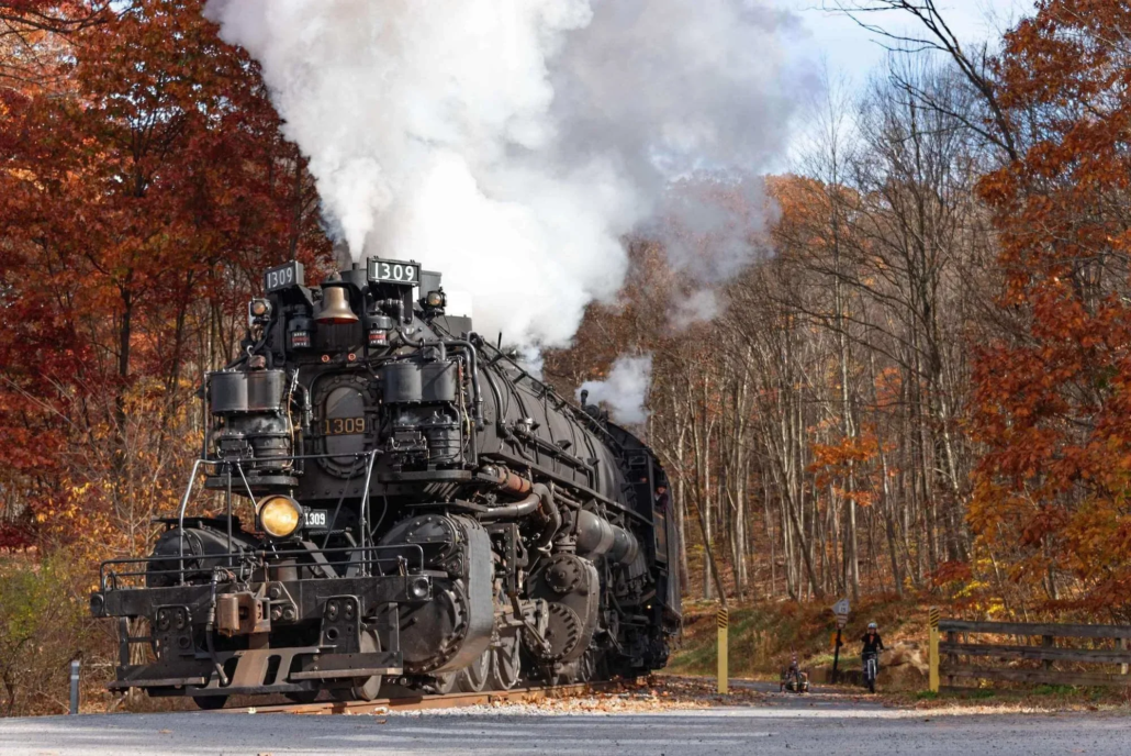 Wmsr Tour Steam Locomotive Autumn Forest