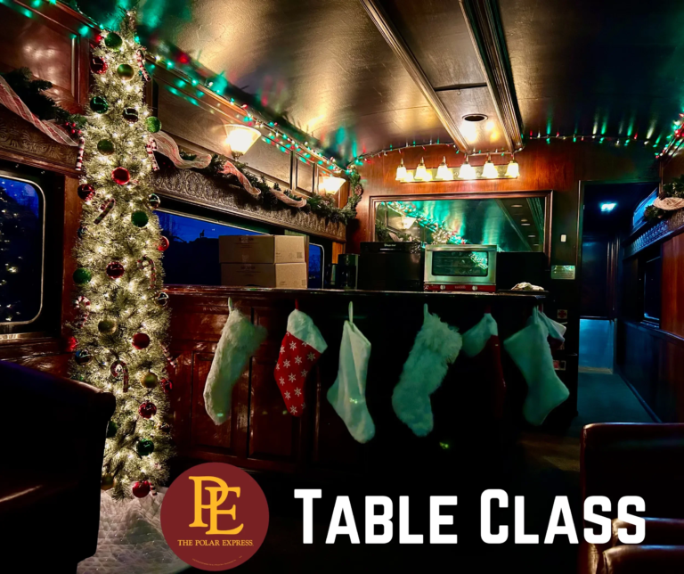 Wmsr Tour Train Car Decorated Christmas Tree